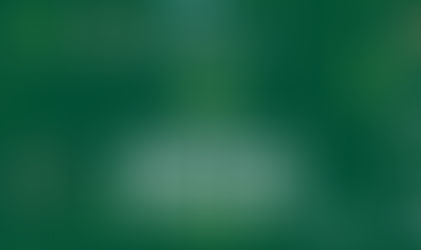 Whiskers Luxury Cat Boarding is a Winner of Nextdoor's Neighborhood FAVES