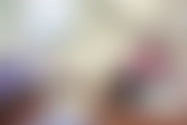 Whiskers Cat Boarding Featured in the Pet Boarding & Daycare Magazine!