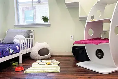 Whiskers Cat Boarding Featured in the Pet Boarding & Daycare Magazine!