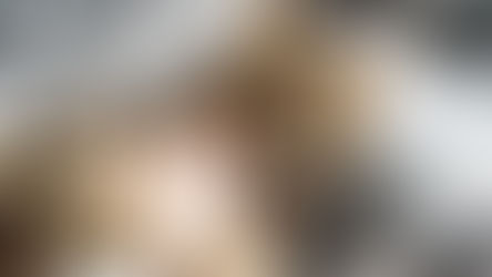 How to Pet Your Cat Correctly