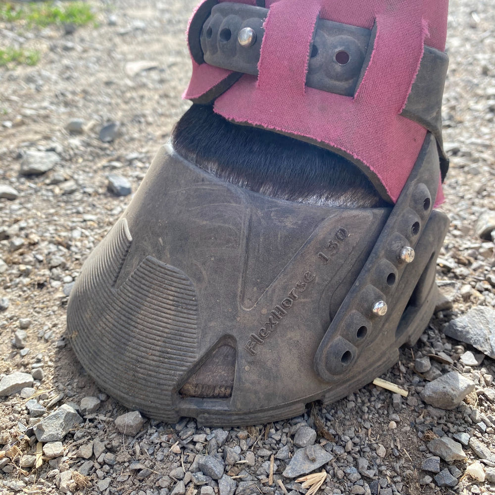 Achieving comfort in foot sore horses