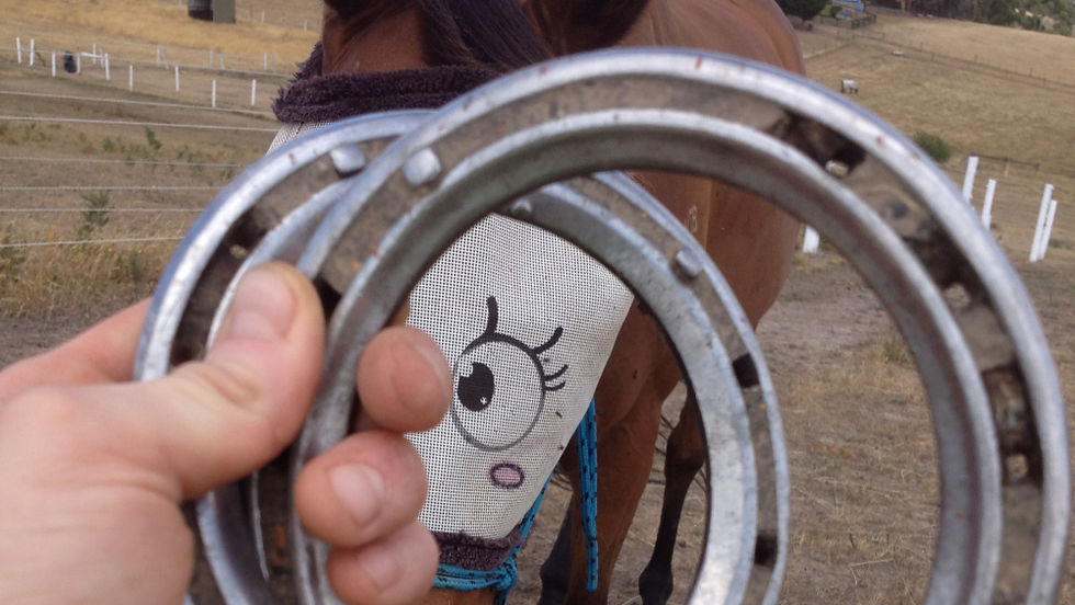 Two iron horseshoes close-up