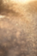 Gold BG1.jpg