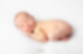 _MGL3273 - Copie - Copie - Copie.jpg