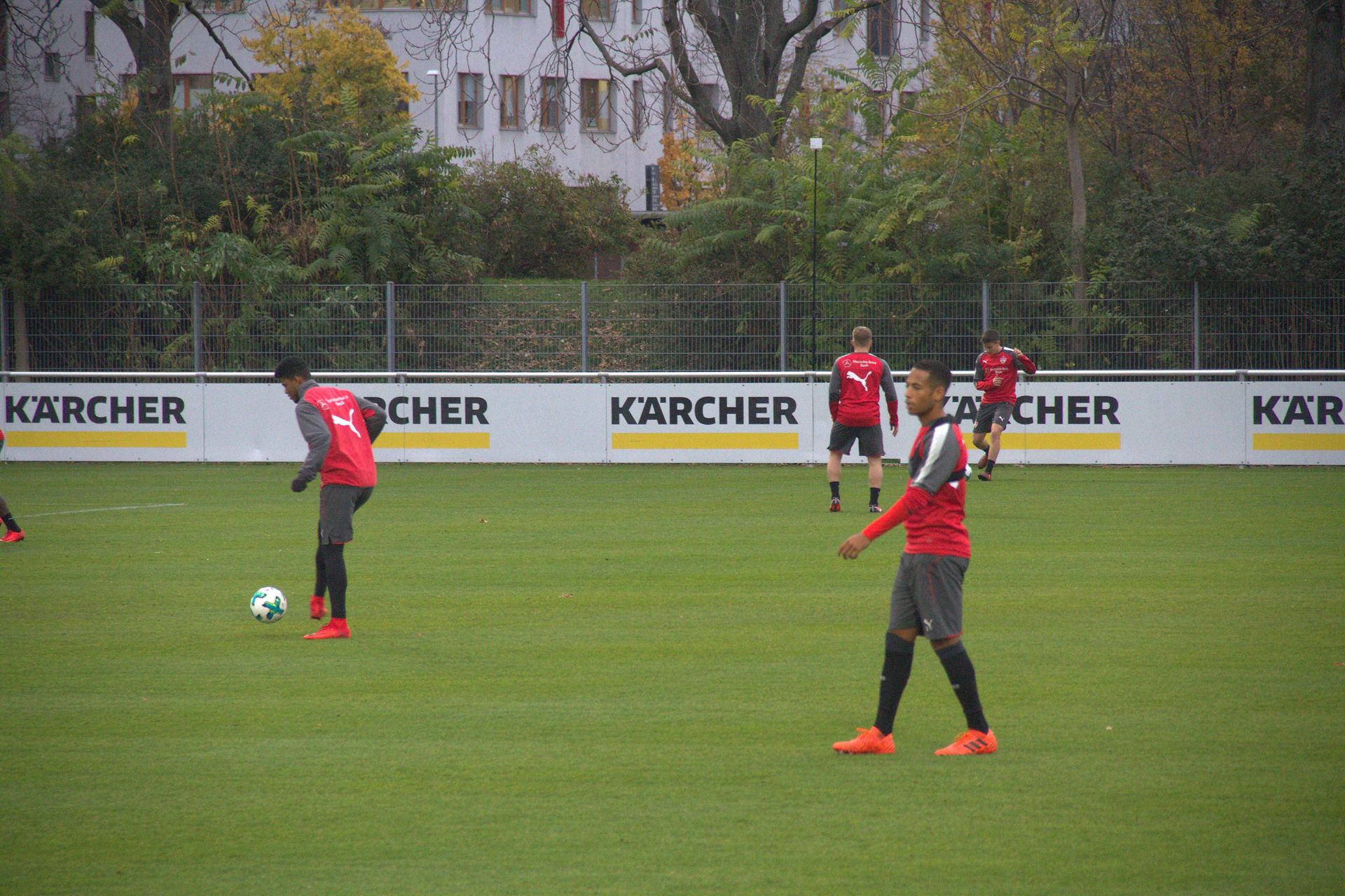 Micha beim VfB 2.11.2017 101