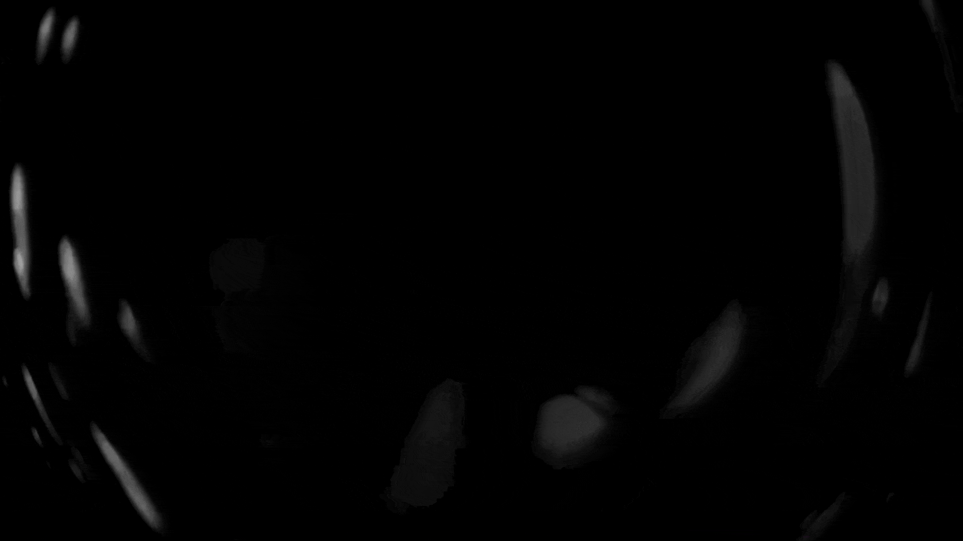 last dance home screen .gif