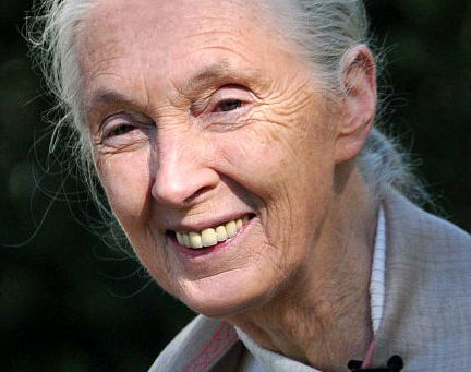 Jane Goodall (1934 - ): From Scientist to Activist