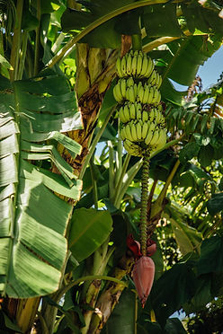 JupiterFarms2023-114.jpg
