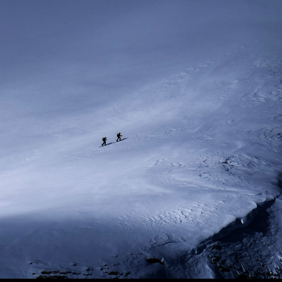 Miniature : L'ARMEE DES OMBRES 11