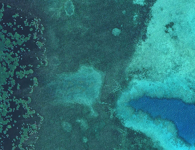 yapaerial2_edited.jpg