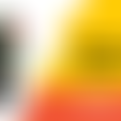 Inaugural Best of the Best 2024 by The Boston Globe