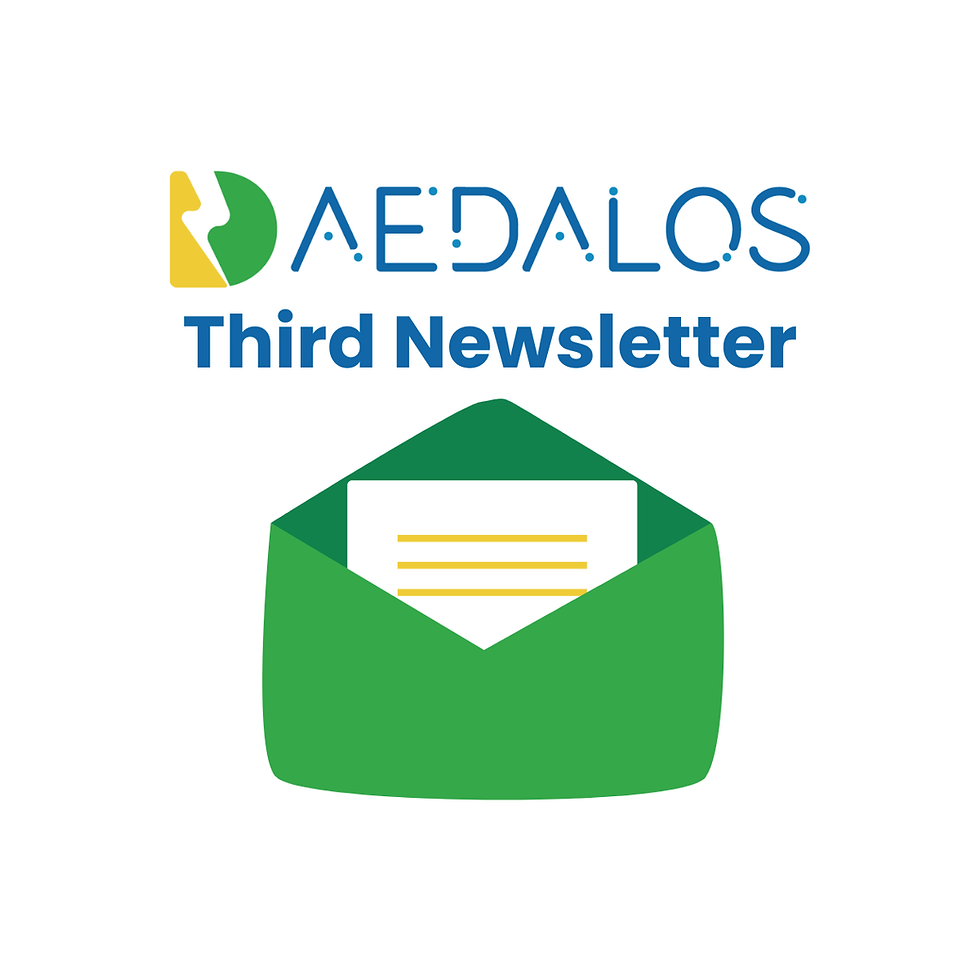 The Third DAEDALOS Newsletter Is Out!