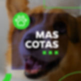 SERVICIO-MASCOTAAAA
