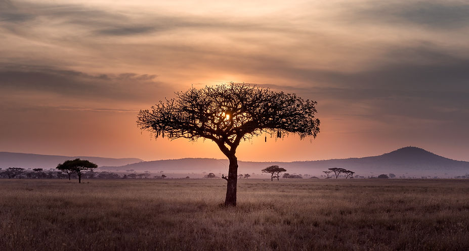 Sunset in Serengeti_edited.jpg