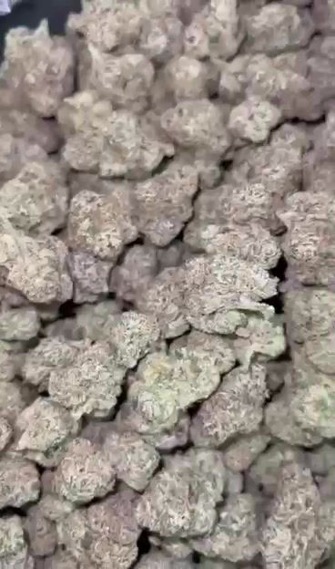 1 lb. Bishop Boyz Gelato 2 Indica Flowers