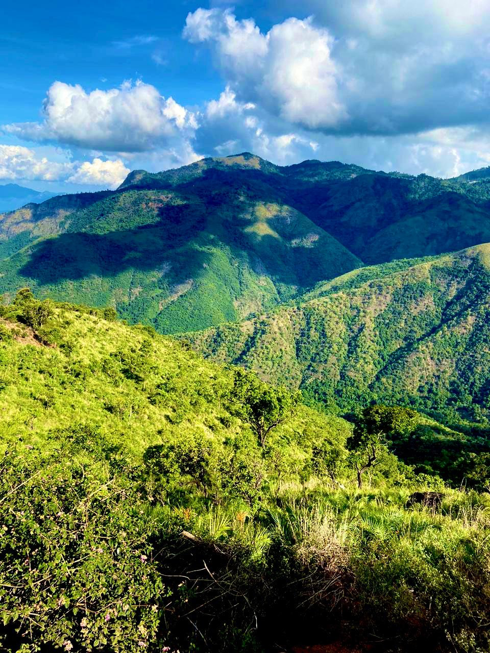 View at Penstock, Ooty, India