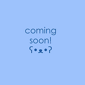 Screen Shot 2021-09-12 at 10.34.31 PM.png