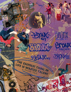 RELISH BRONX SECTION DIVIDER