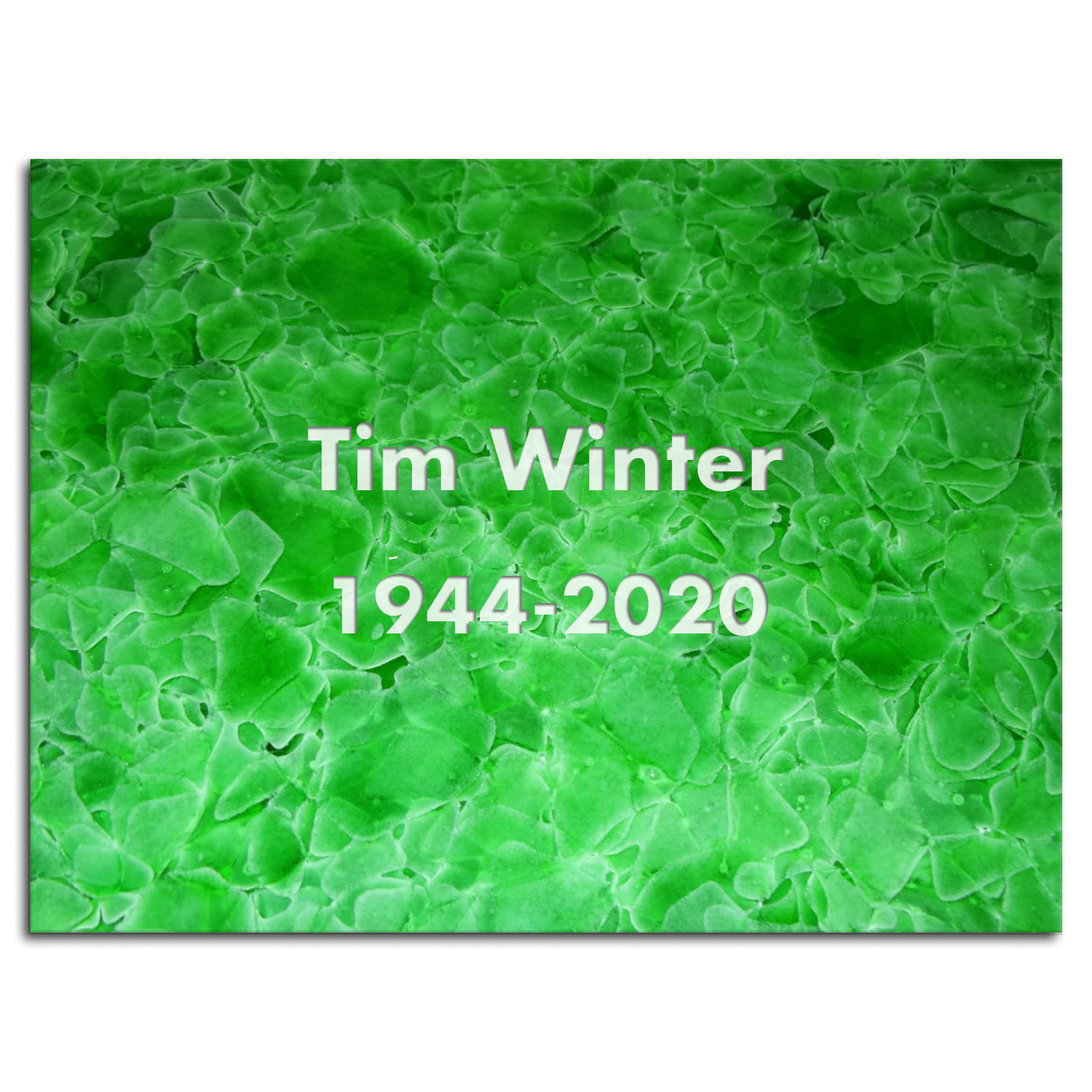 Kolumbarienplatte Grün liegend