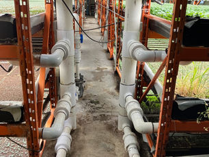 Vortexing Water in a CEA Recirculating Deep Water Culture Hydroponics Environment 