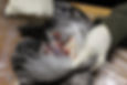 Udstopning_flaaning_010