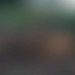 Ældre kendt seksender