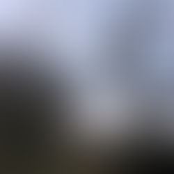 Reguleringens sidste krager