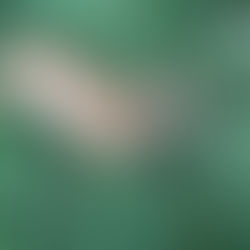 Hvor gammel var bukken?