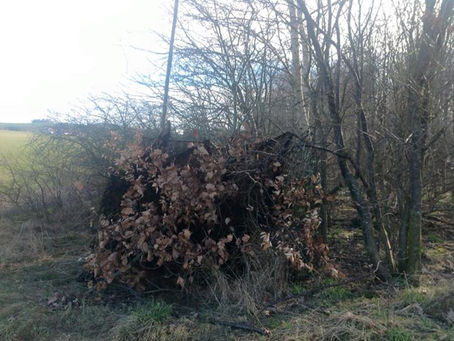 Tre krager på en flot dag