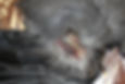 Udstopning_rensning_004