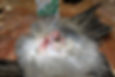 Udstopning_rensning_009