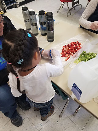 RedMesaHeadStart_Demo4.jpeg