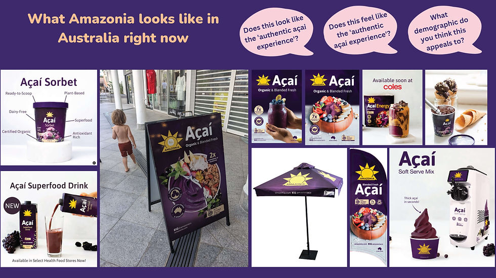 Amazonia Group Brand Execution_Page_14
