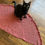 Thumbnail: Pumpkin Pi Shawl