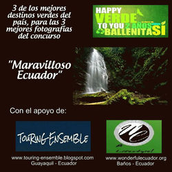 314532_229448533767427_7695489_n