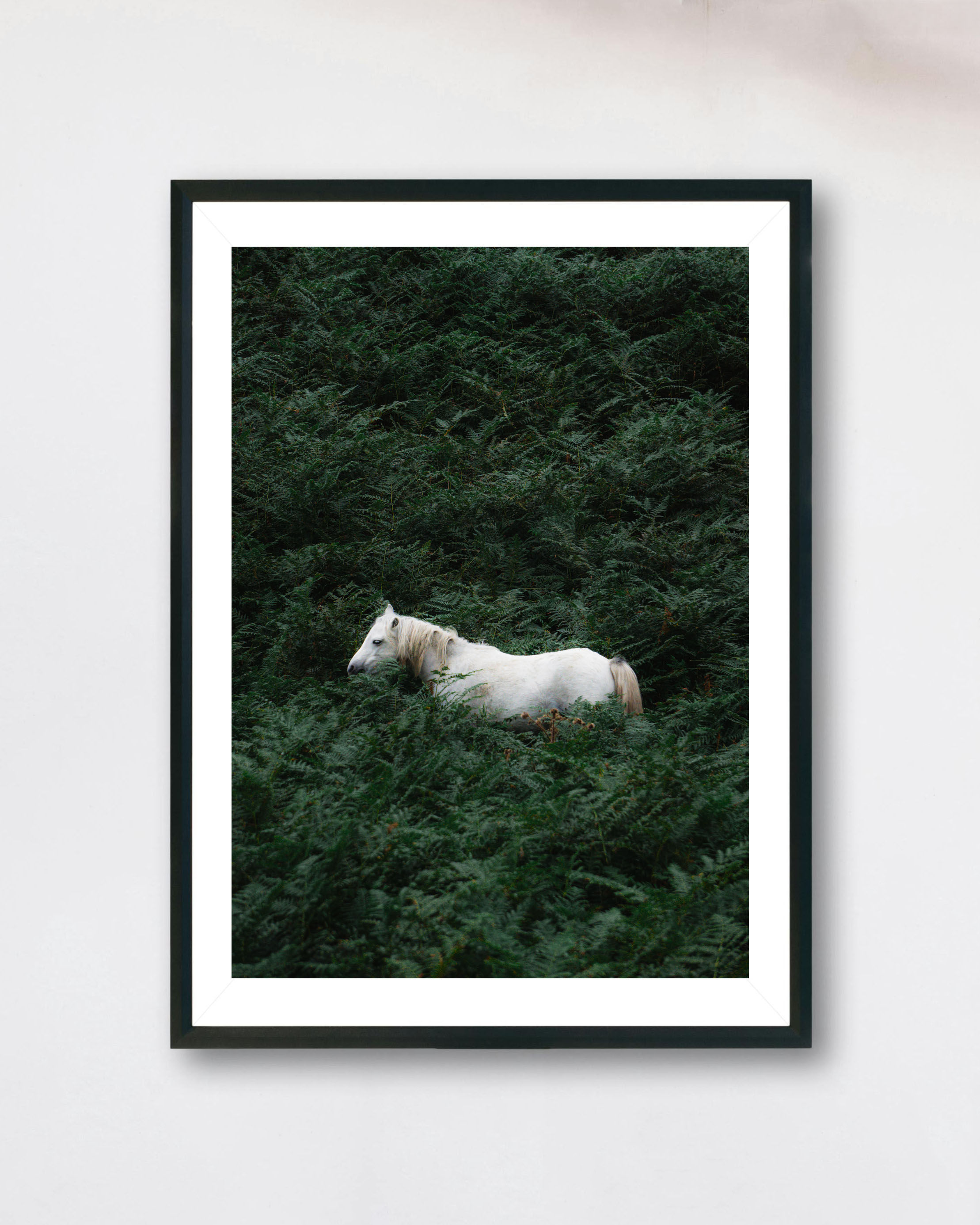 Reginald T. Stallion