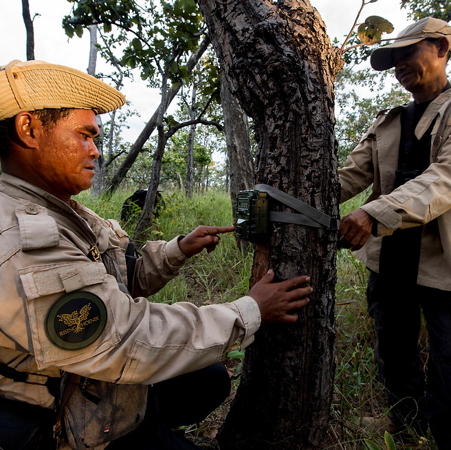 Camera trapping Siem Pang 29- Jeremy Holden.JPG