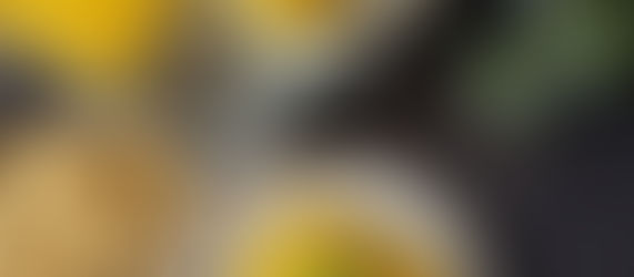 Mango-Dessert mit glänzend gelber Glasur auf Teller und Auflaufform, garniert mit Minze und Kokosraspeln, daneben Pflanzen und ein gelbes Tuch.