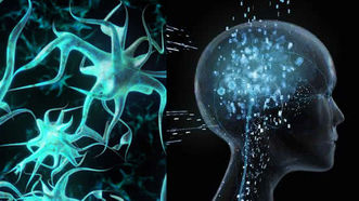 Inteligencia y Pensamiento