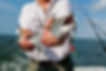 AdobeStock_134773205.jpeg