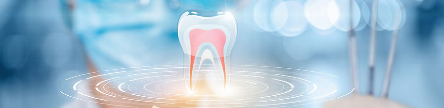 tooth anatomy on blue background