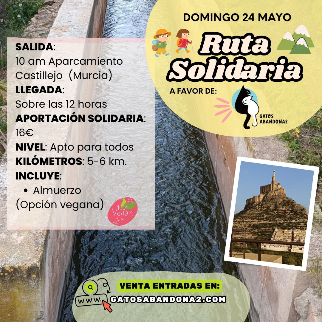 Paseo Solidario