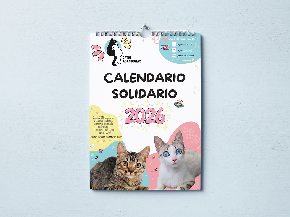 Miniatura: Calendario 2026