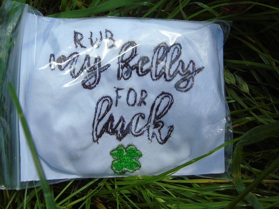 الصورة المصغرة: Dog Bandanas