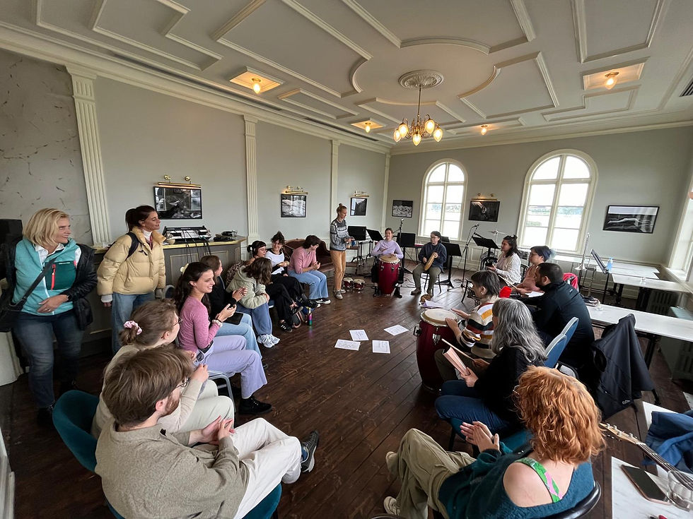 workshop reykjavik with Las Hienas