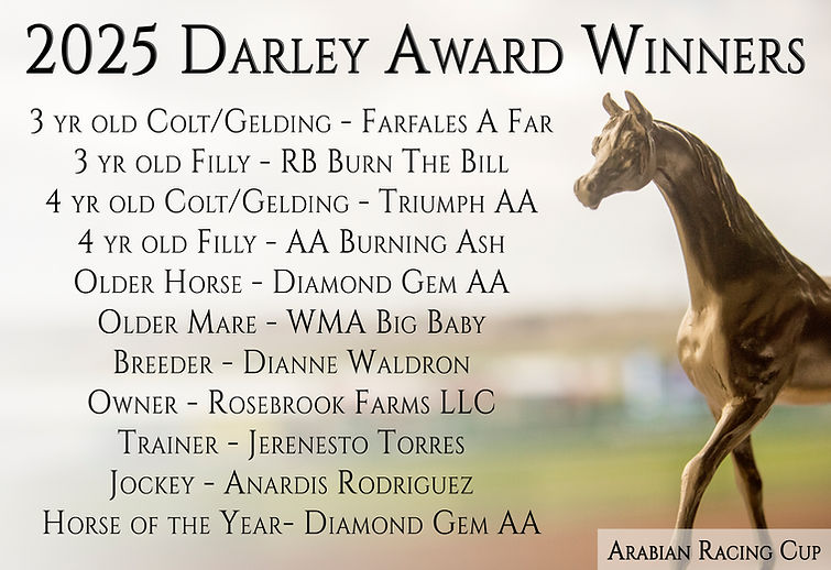 2025 Darley Winners.jpg