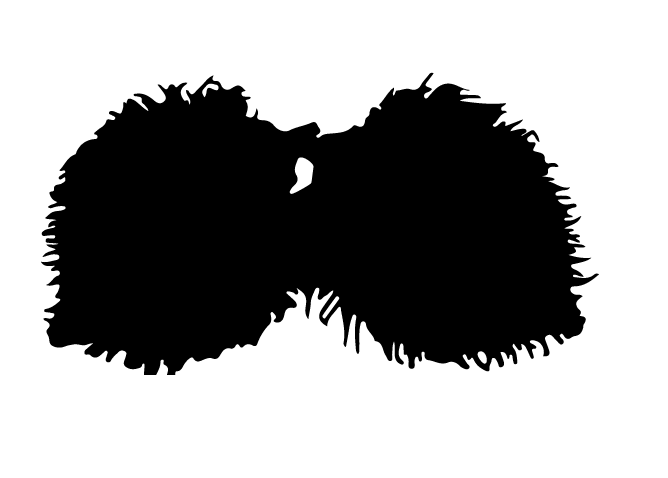 Png-sofi.gif