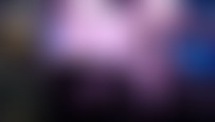 5... 4... 3... 2... 1... Happy New Year!