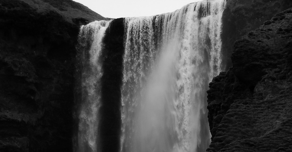 sarah-sheedy-umf0JQAgZ9E-unsplash 1