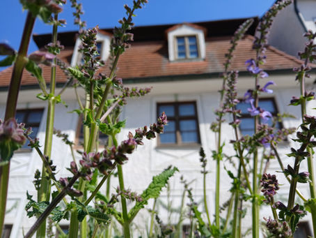 Ein Haus für feine Herrschaften?